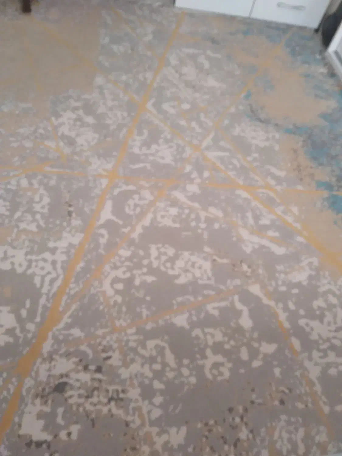 فرش  ۶ متری|فرش|رشت, پل تالشان|دیوار