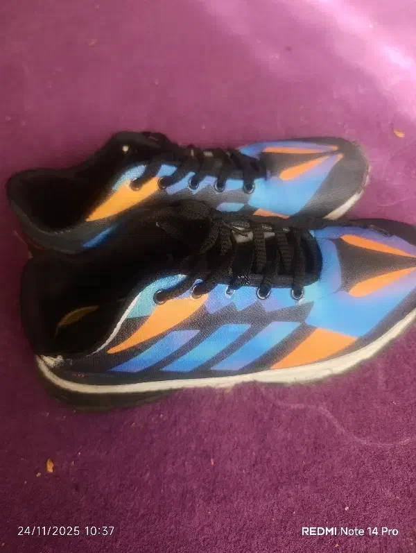 کفش مردانه|کیف، کفش، کمربند|گلبهار, شهر جدید گلبهار|دیوار