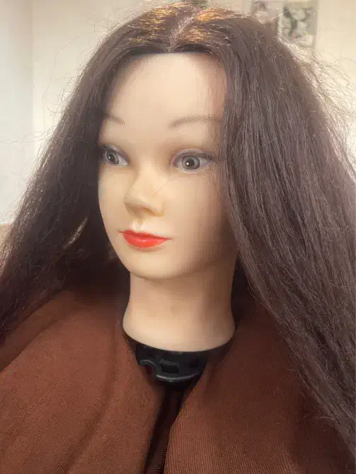 کله مانکن|آرایشگاه و سالن‌های زیبایی|دوگنبدان, |دیوار