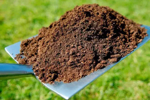 خاک باغچه و کود حیوانی|خدمات باغبانی و درختکاری|مشهد, توس (بلوار توس)|دیوار