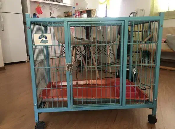 قفس آهنی|لوازم جانبی حیوانات|رشت, گلسار|دیوار