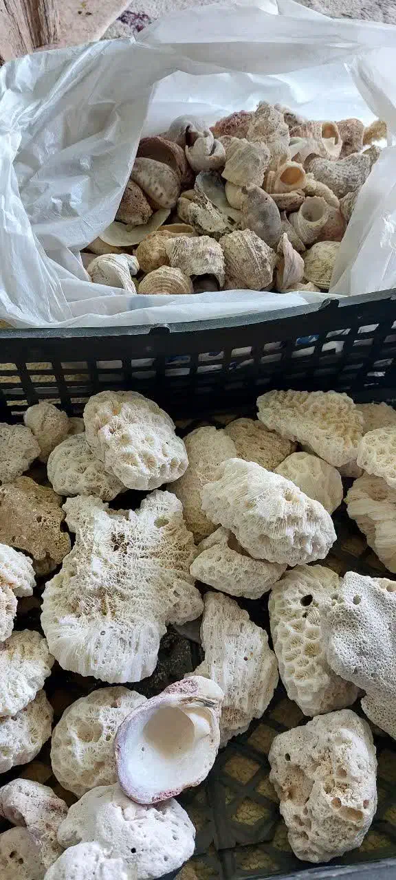 سنگهای. تزئینی مخصوص آکواریوم|ماهی|آمل, |دیوار