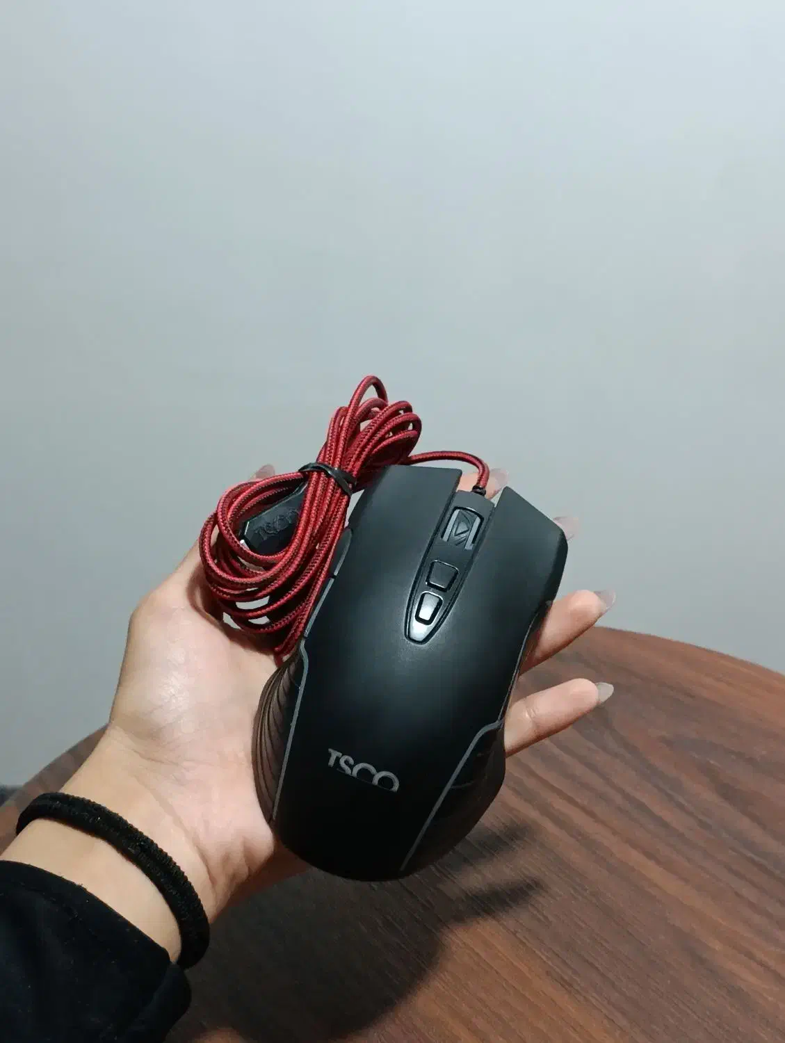 موس گیمینگ|کنسول، بازی ویدئویی و آنلاین|گنبد کاووس, |دیوار