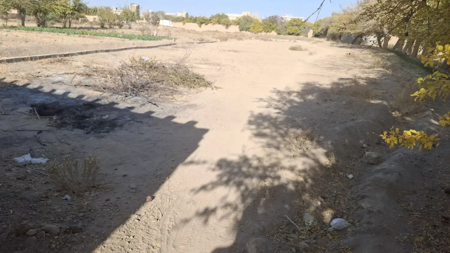 زمین زراعی|فروش زمین و ملک کلنگی|مهریز, |دیوار