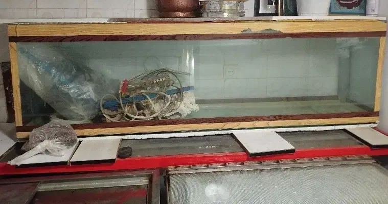 آکواریوم|ماهی|ایلام, |دیوار