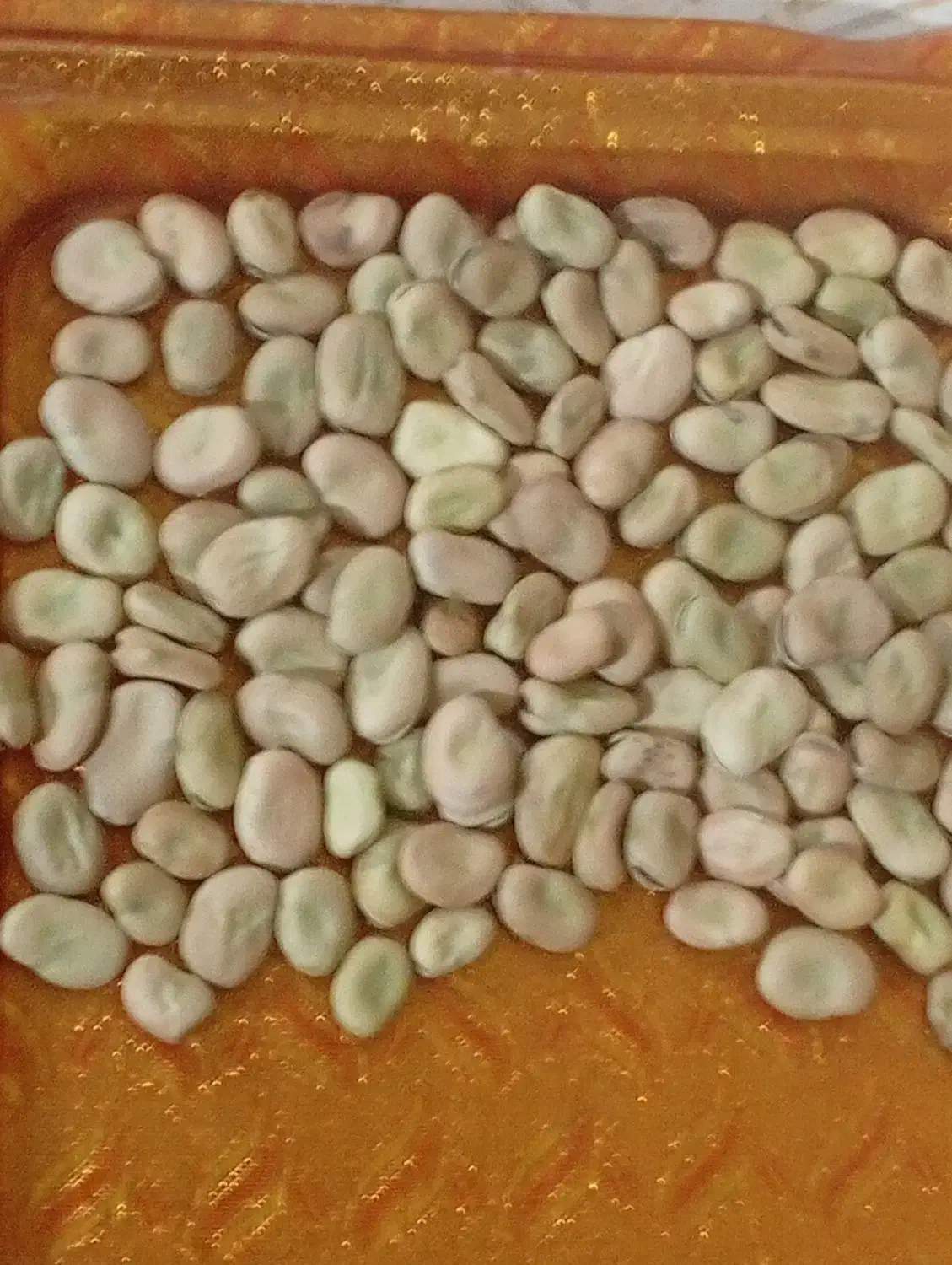 پاخلاخشک|عمده‌فروشی|مهربان, |دیوار