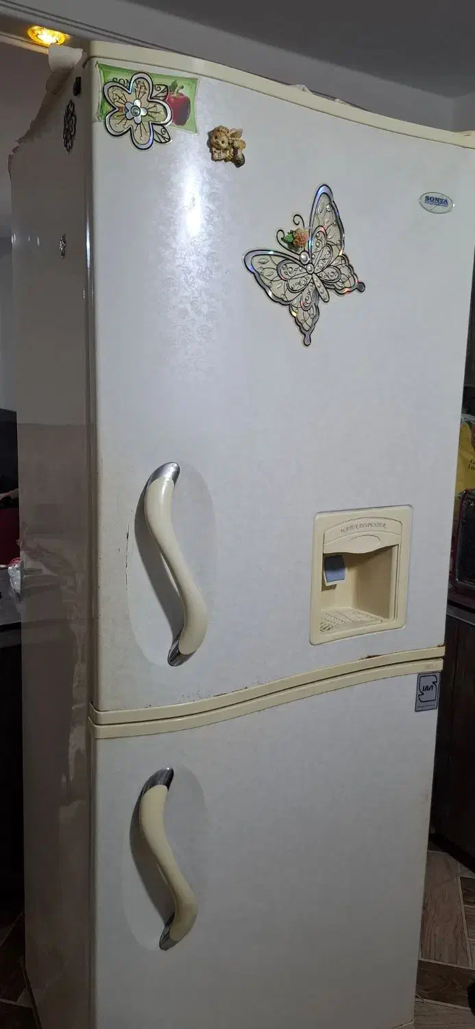 یخچال سونیا سالم|یخچال و فریزر|صحنه, |دیوار