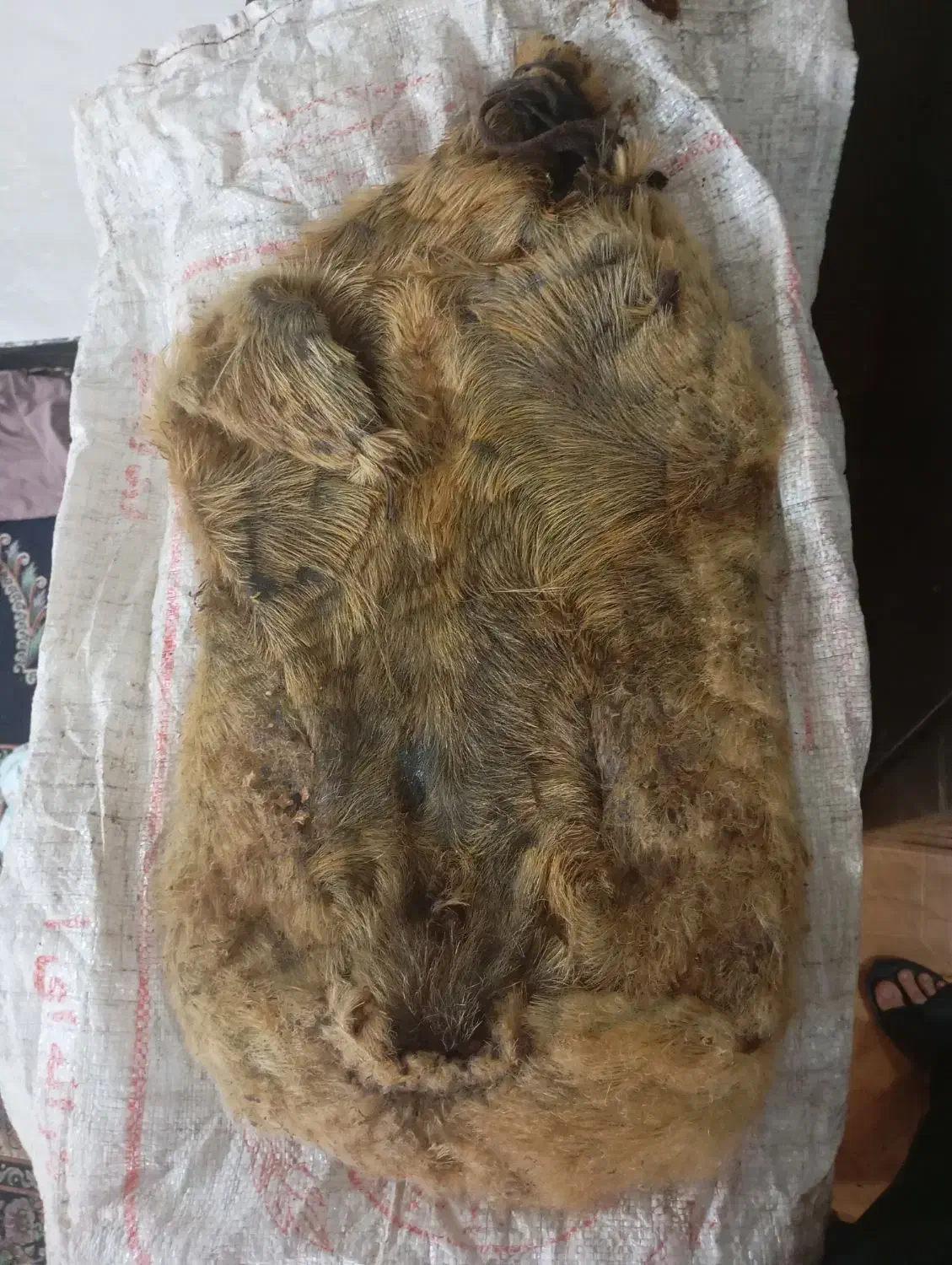 خیگ|صنایع دستی و سایر لوازم تزئینی|مسجد سلیمان, |دیوار