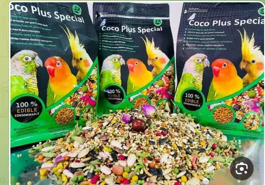 انواع دانه عروس هلندی طولی کاسکو مرغ مینا قناری|لوازم جانبی حیوانات|لاهیجان, کوی زمانی|دیوار