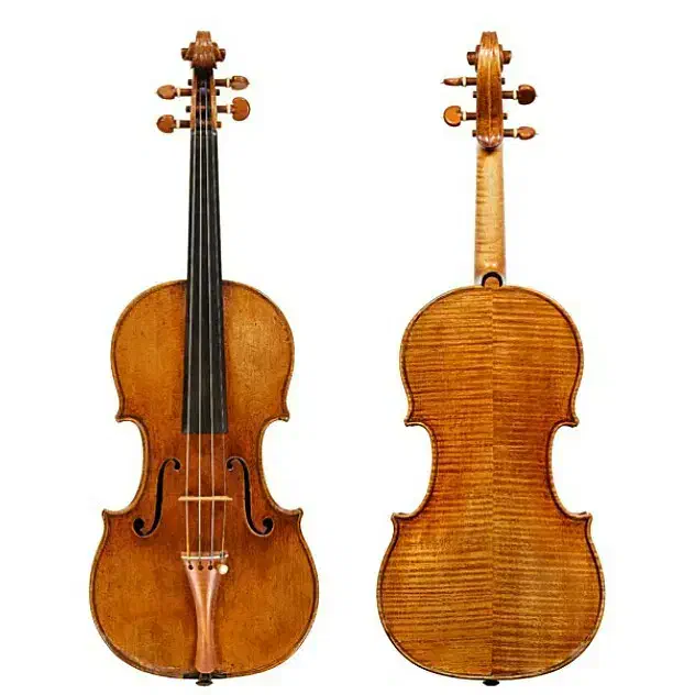 آموزش حرفهای ویولن|خدمات آموزشی|کرمان, |دیوار