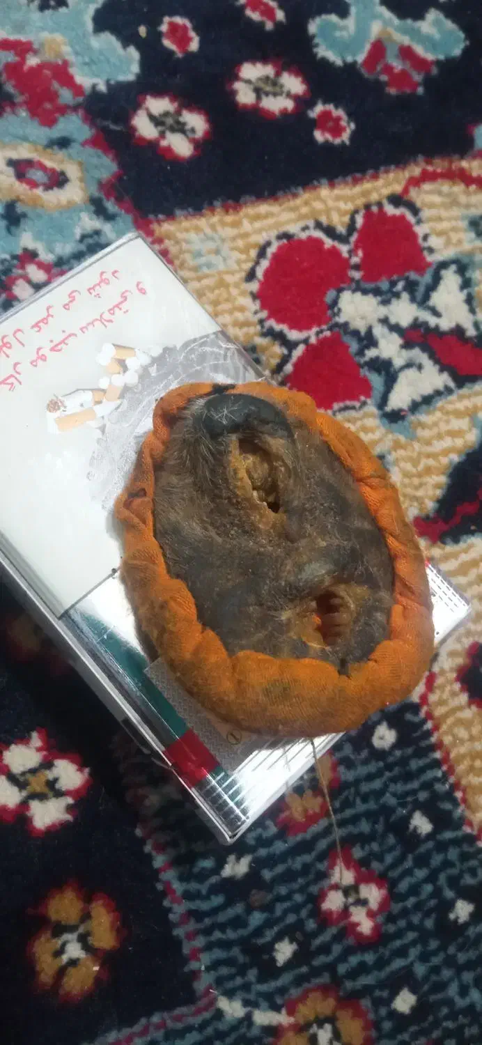 مهره اصلی|بدلیجات|یاسوج, |دیوار