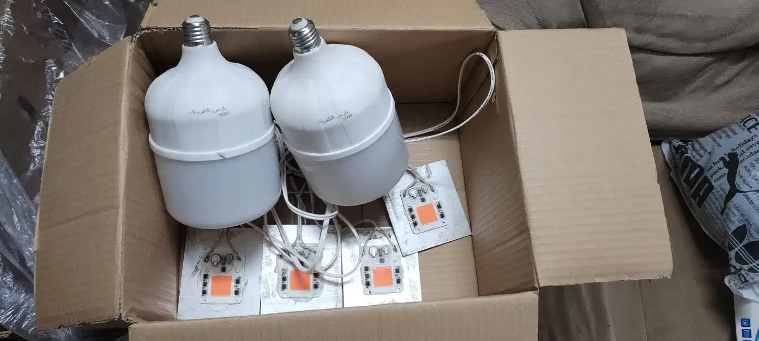 لامپ رشد گیاه|لامپ و چراغ|بجنورد, |دیوار