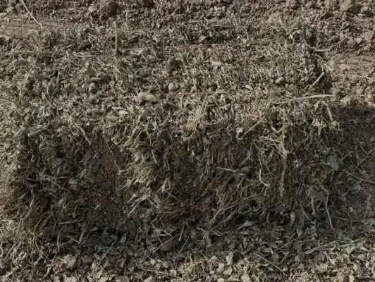 پرس بادام زمینی|لوازم جانبی حیوانات|فامنین, |دیوار