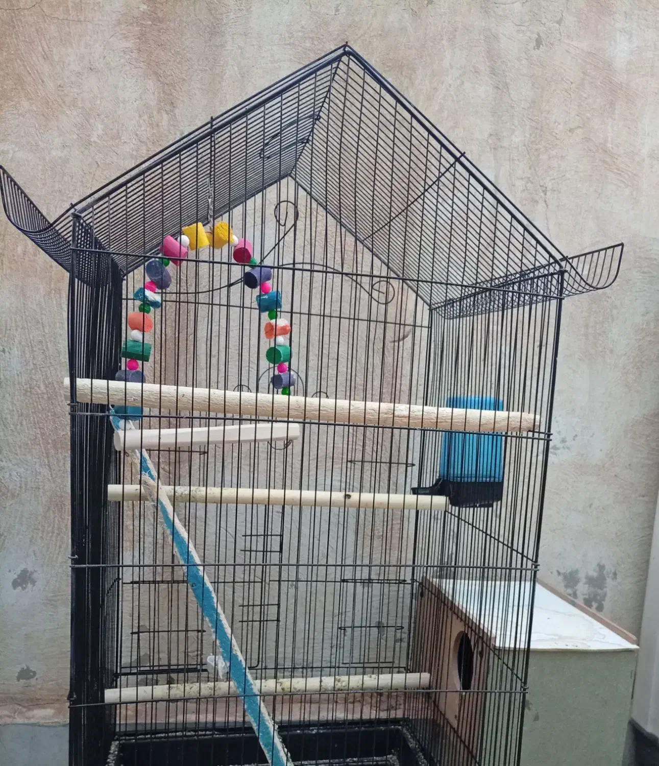 قفس|پرنده|اهواز, بیست متری شهرداری|دیوار