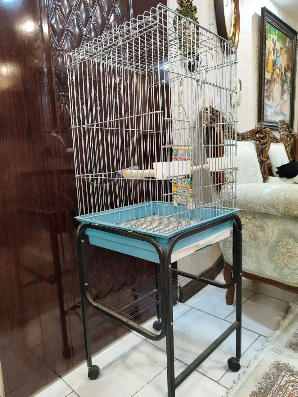 قفس پرنده میله ها محکم در حد نو|لوازم جانبی حیوانات|ری, شهید غیوری (ابن باویه)|دیوار