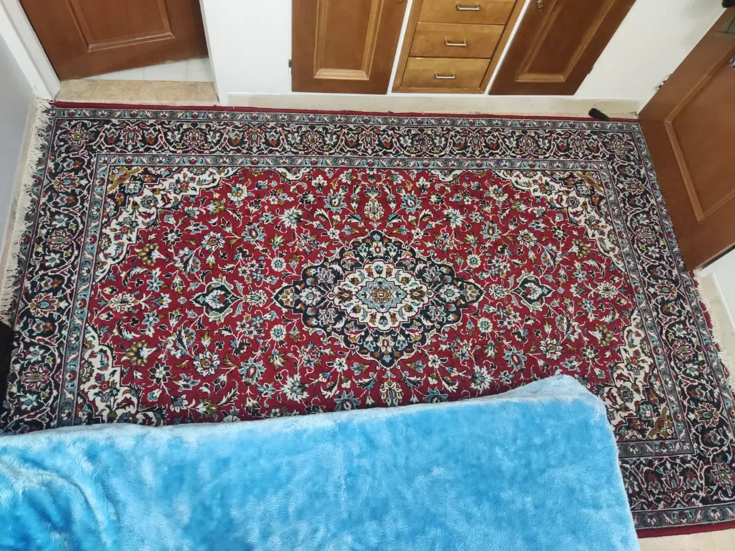 دو عدد قالی12و6متری|فرش|شیراز, ارم|دیوار