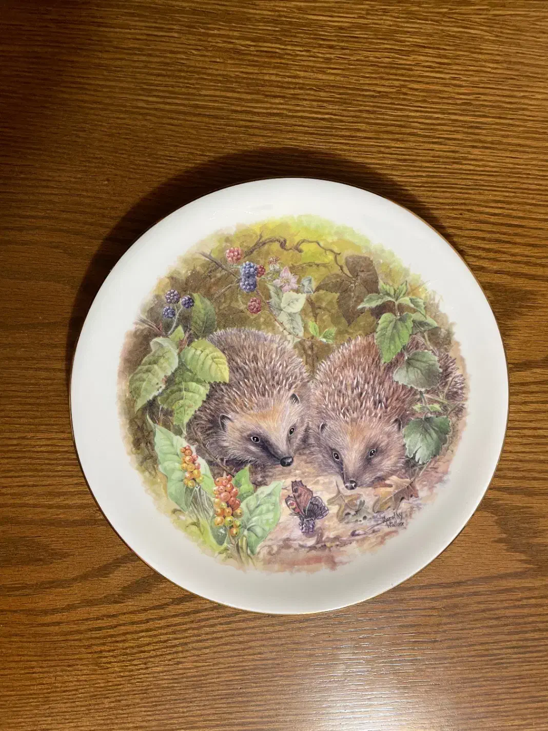 دیوارکوب های انتیک انگلیسی|کلکسیون اشیاء عتیقه|تهران, اکباتان|دیوار