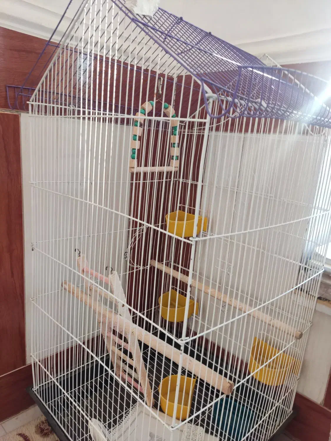 قفس پرنده|لوازم جانبی حیوانات|شیراز, پانصد دستگاه ارتش|دیوار