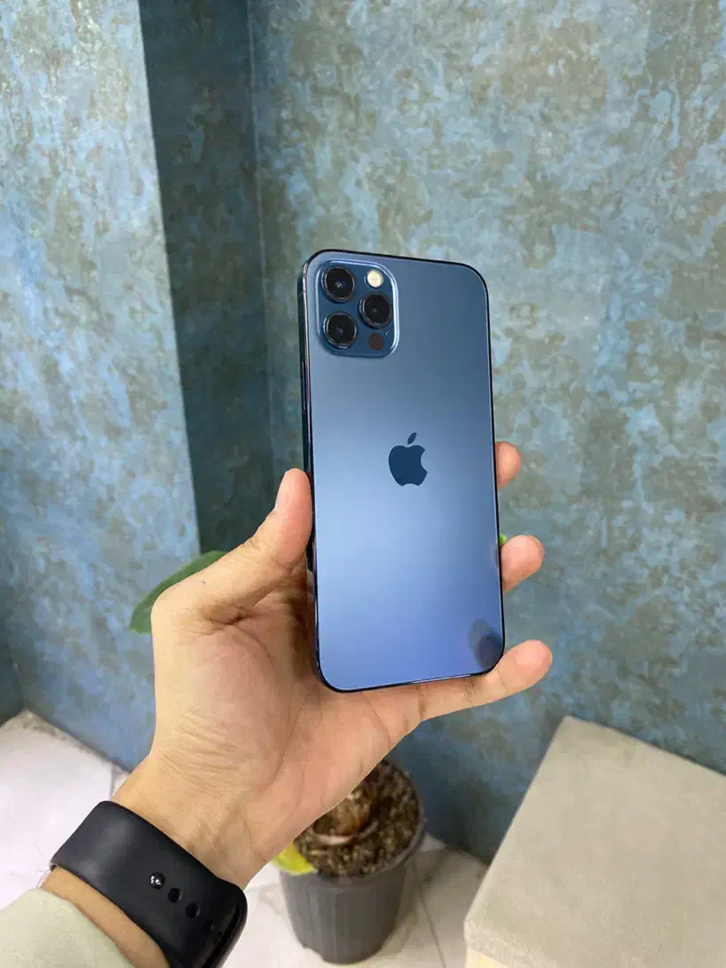 Iphone 12pro|موبایل|کرج, اصفهانی‌ها|دیوار