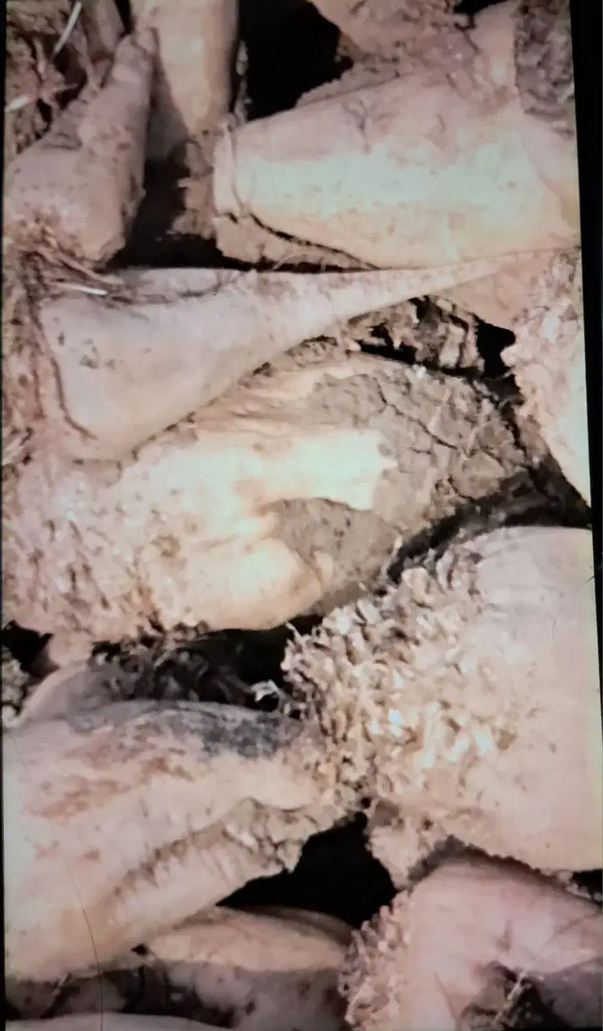 دامداری|لوازم جانبی حیوانات|سیمینه, |دیوار