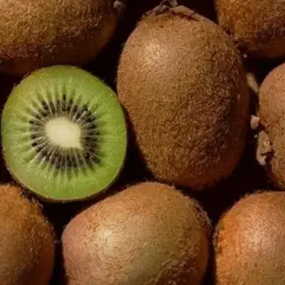 کیوی|خوردنی و آشامیدنی|آستارا, |دیوار