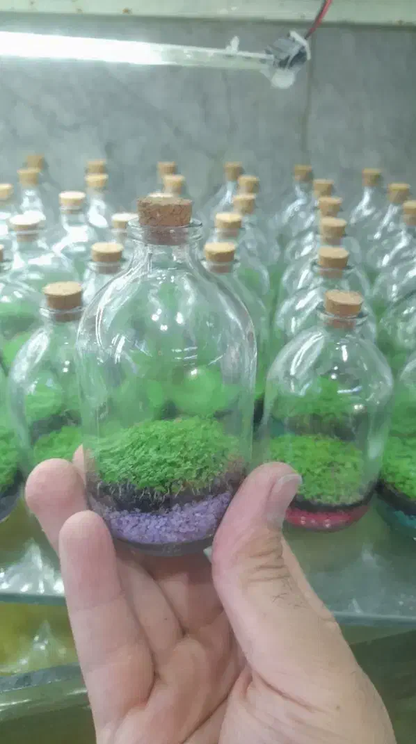 سرگرمی و فراغت|ماهی|ارومیه, |دیوار