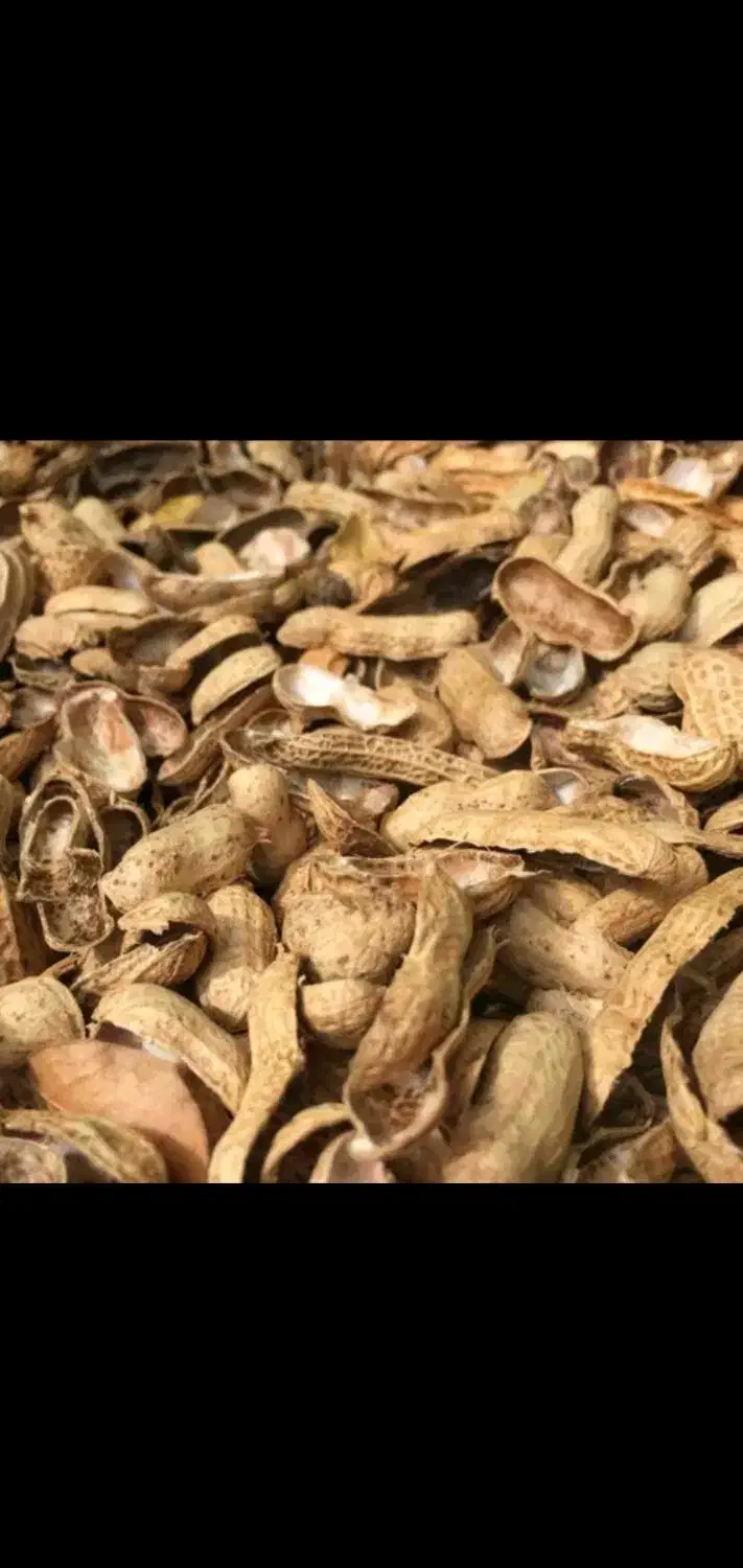 پوست بادام زمینی اسیاب شده|عمدهفروشی|لاهیجان, بازکیاگوراب|دیوار