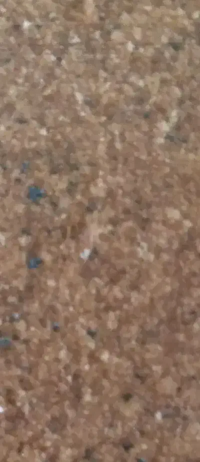 راننده هستم.سرویس می پذیرم|خدمات حمل و نقل|سنندج, |دیوار