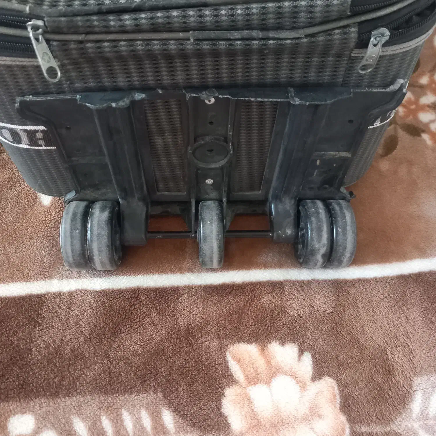 چمدان|کیف، کفش، کمربند|کرمانشاه, |دیوار