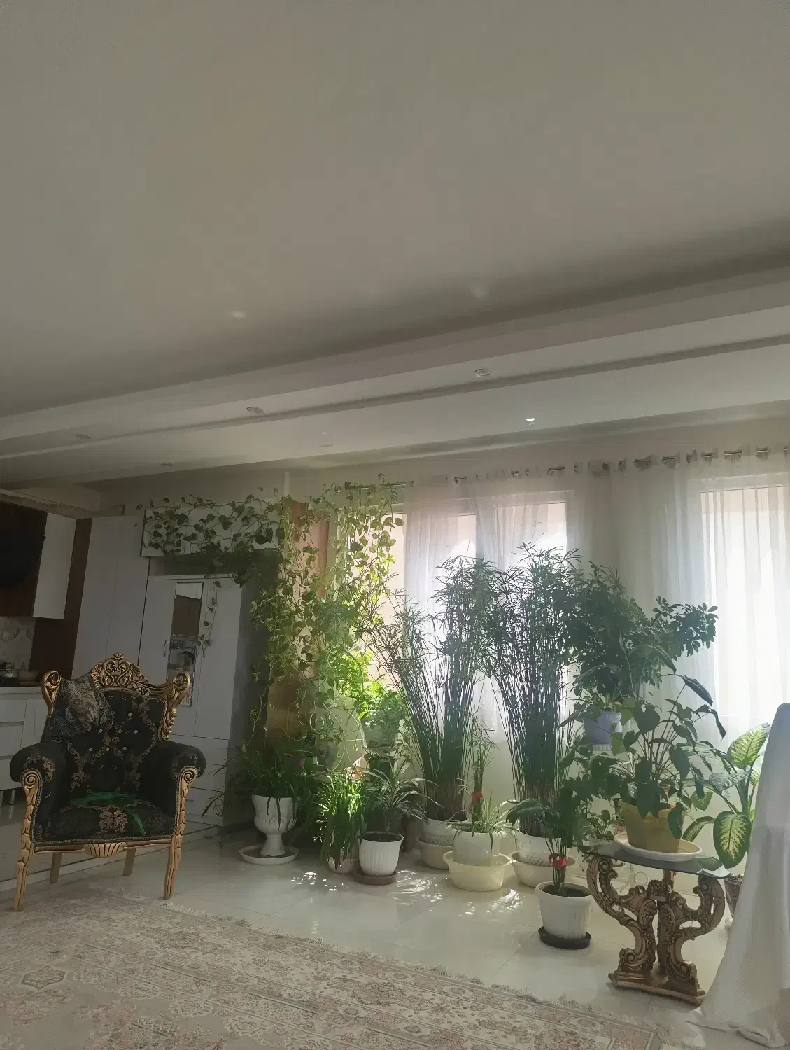 رهن آپارتمان شاهین ویلا