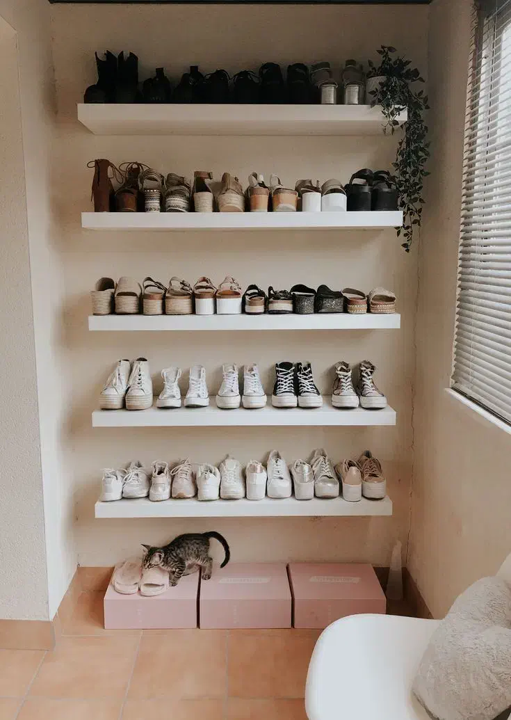 شلف های نظم دهنده دیواری|کتابخانه، شلف، قفسههای دیواری|شوش, |دیوار