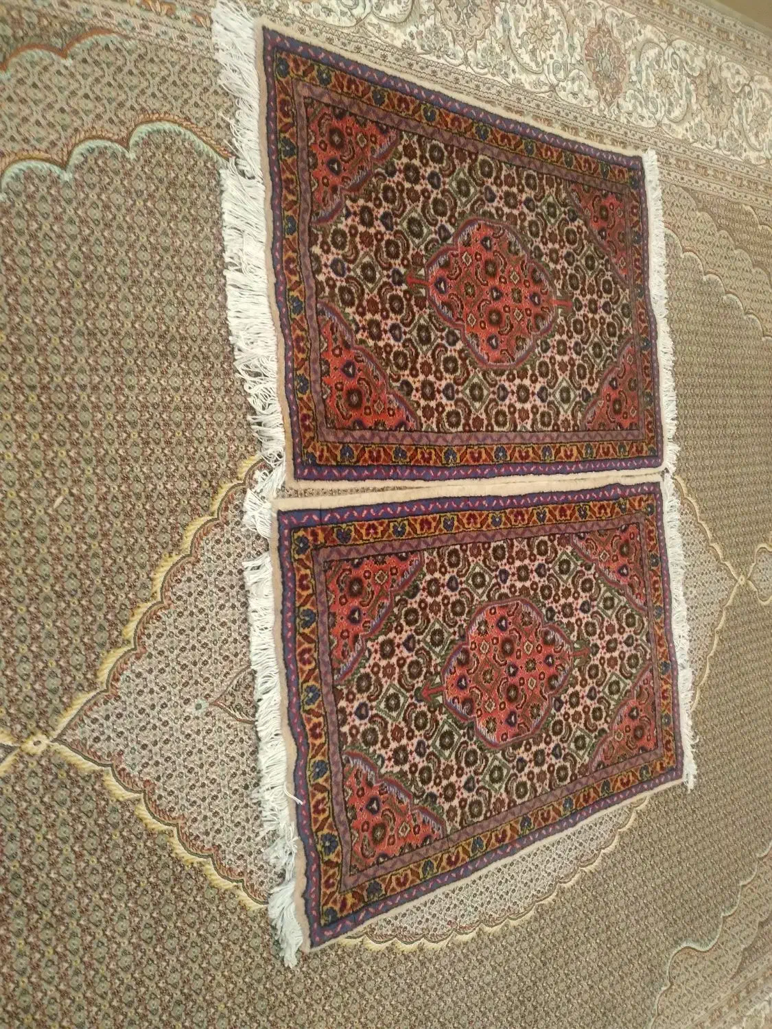 یک جفت پادری نو|پادری|پارس‌آباد, |دیوار