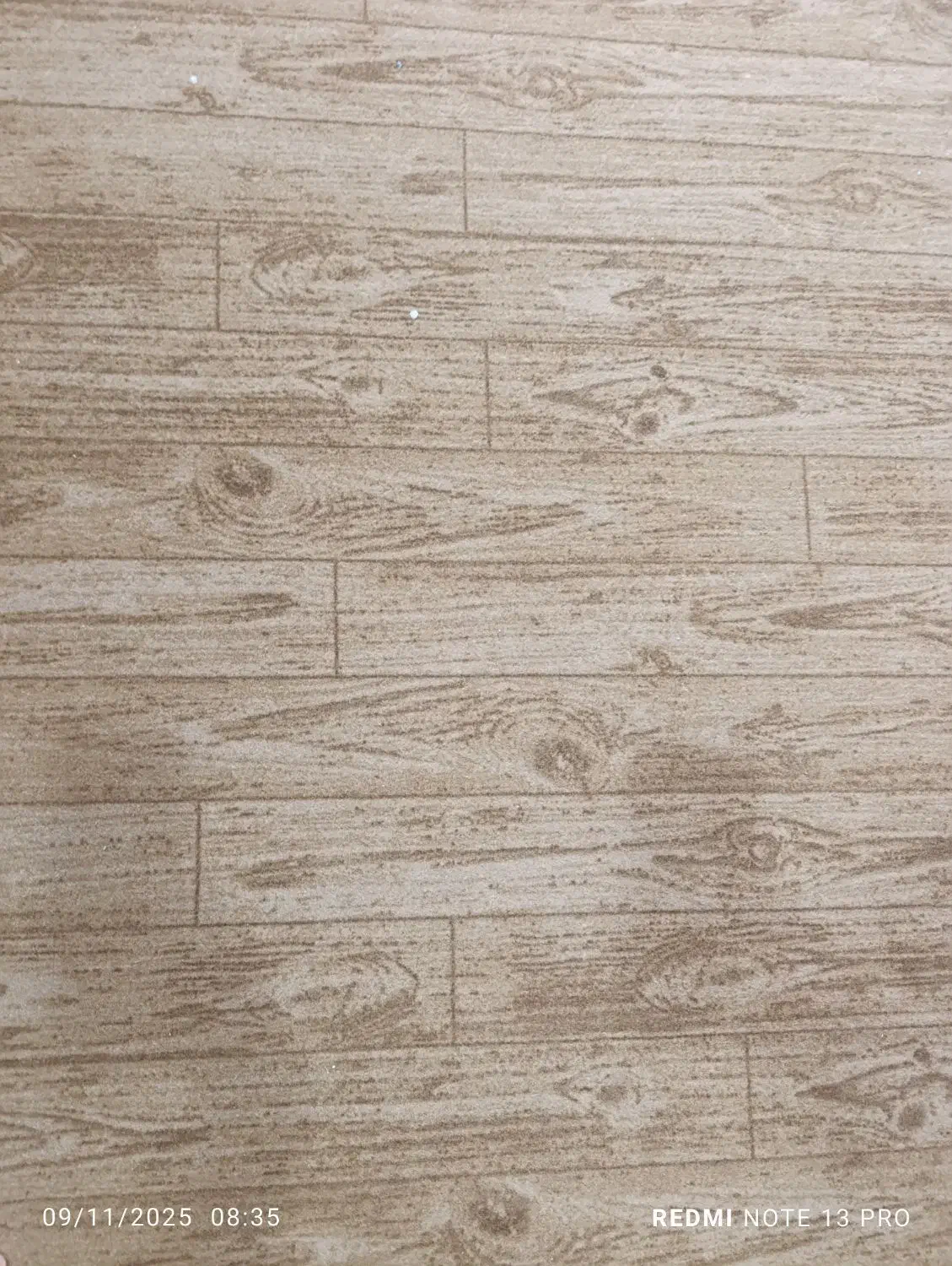 موکت|موکت|دهدشت, |دیوار