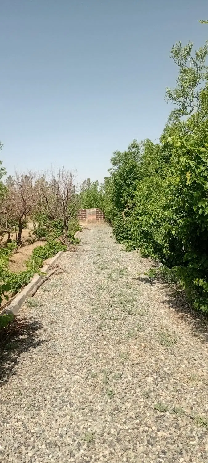تصویر 7