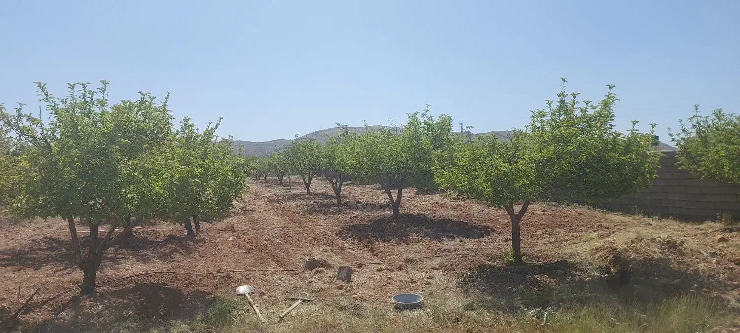 باغشهر ۱۰۰۰ متری آبپرده|فروش خانه و ویلا|شیراز, کودیان|دیوار