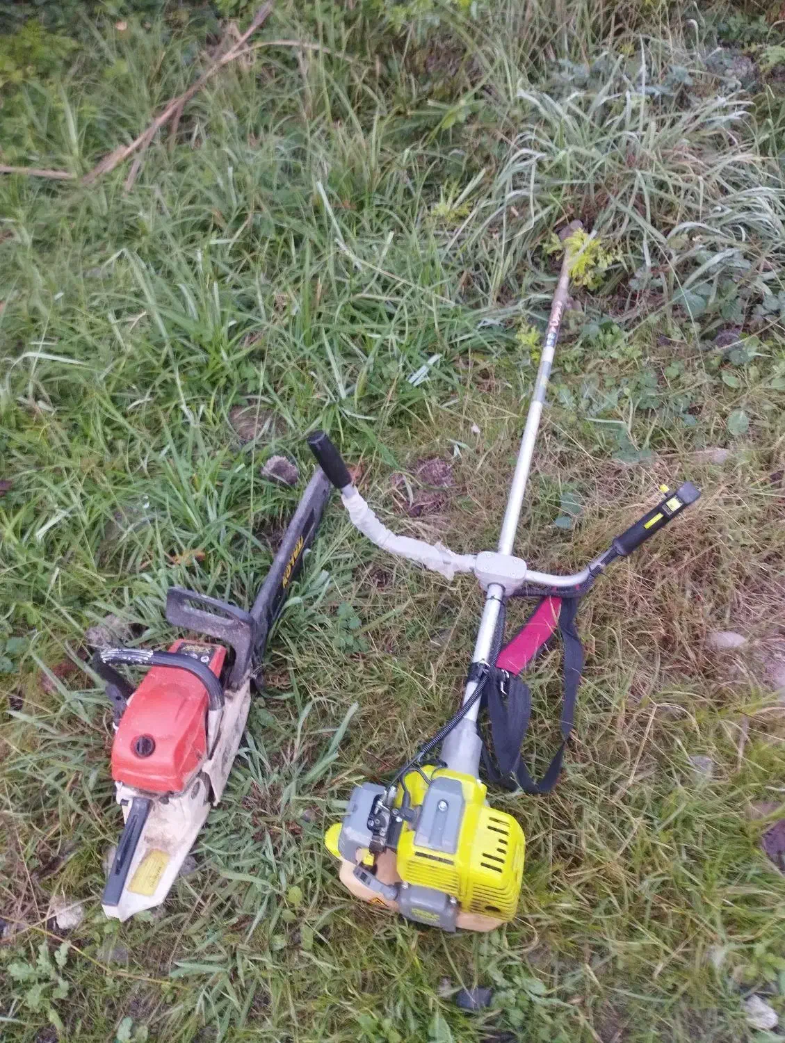 انواع کارهای باغبانی هرس درختان برش درخت|خدمات باغبانی و درختکاری|رشت, پل تالشان|دیوار