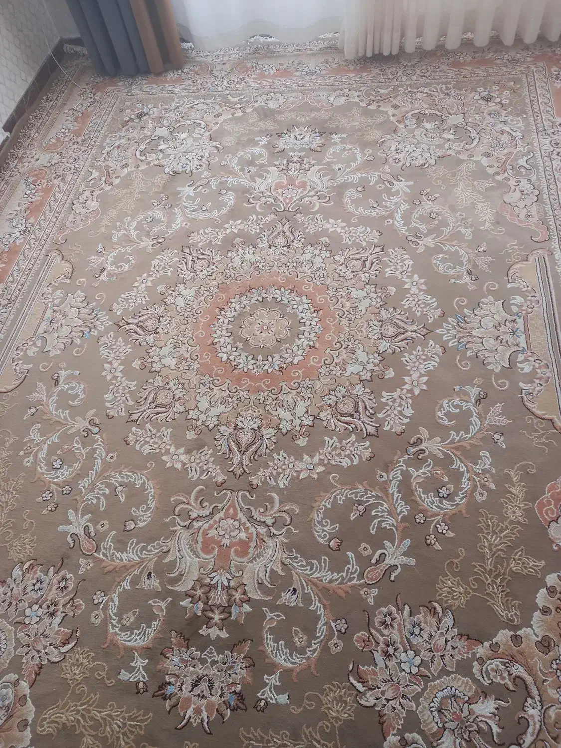 یک تخته فرش ۱۲متری|فرش|کرمانشاه, |دیوار