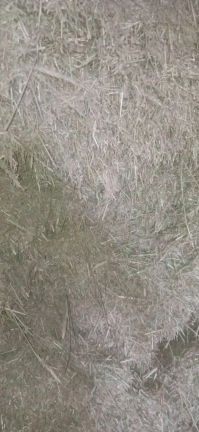 یونجه و گیاه|لوازم جانبی حیوانات|دهگلان, |دیوار