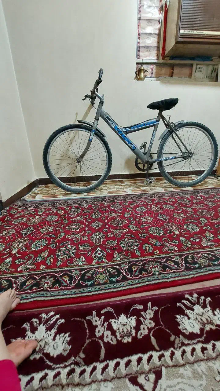 دوچرخه کوهستان|دوچرخه، اسکیت، اسکوتر|باوی, |دیوار