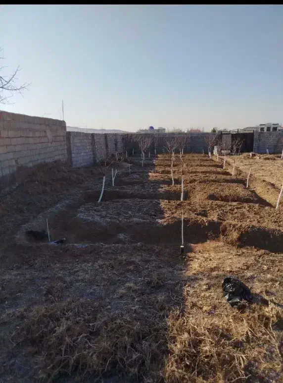 بیل زنی باغ باغچه|خدمات باغبانی و درختکاری|ارومیه, |دیوار