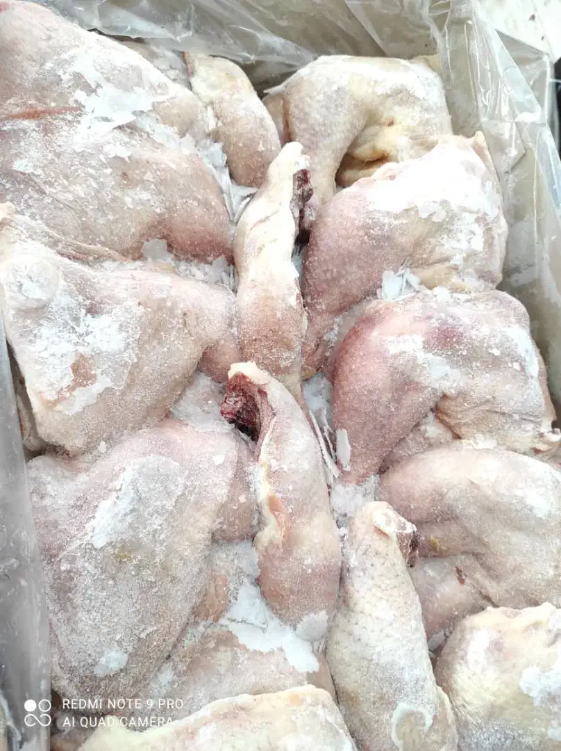 گوشت|عمده‌فروشی|محمدشهر, محمدشهر|دیوار