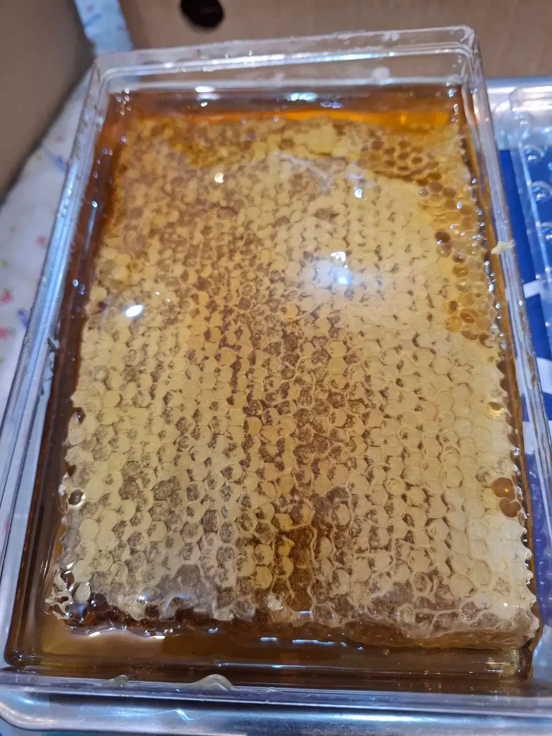 فروش عسل منطقه پادنا (پای کوه دنا)|خوردنی و آشامیدنی|سمیرم, |دیوار