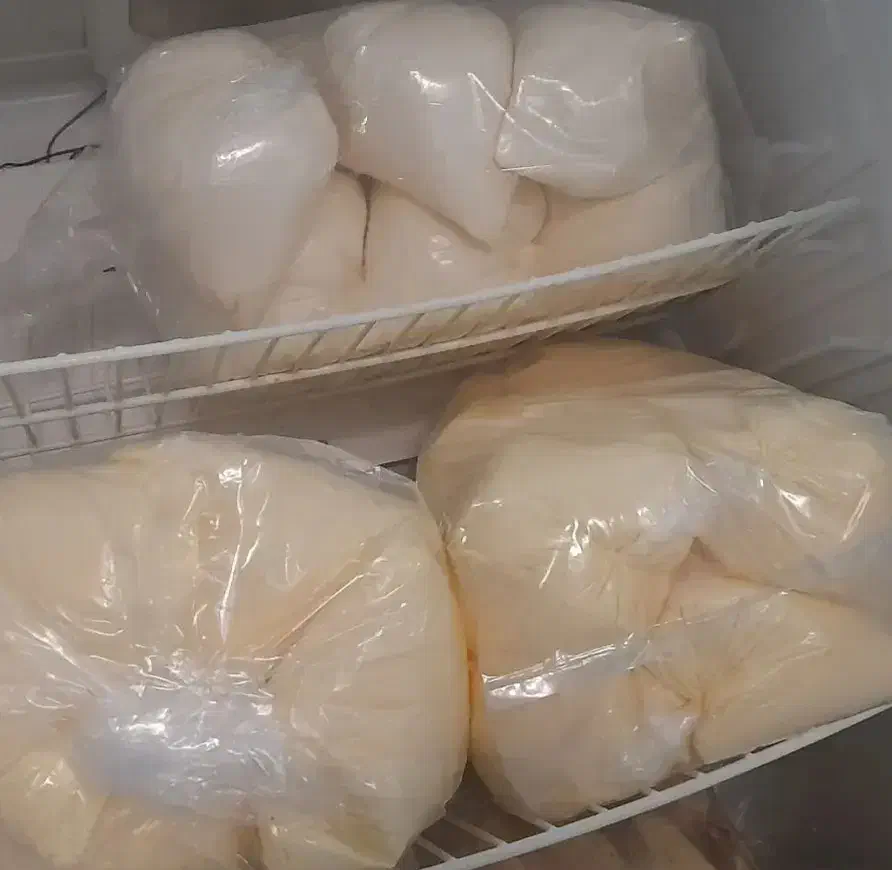 کره گاوی|خوردنی و آشامیدنی|شیراز, سجادیه|دیوار