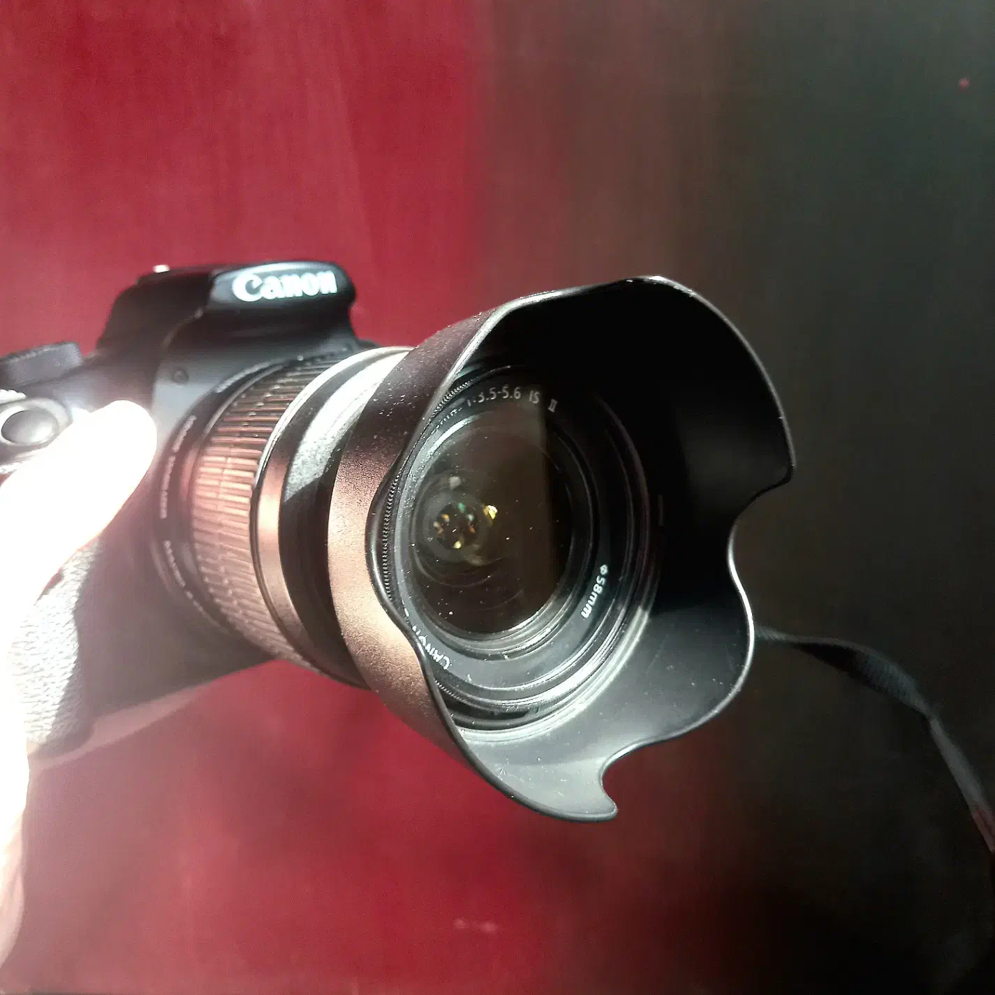 Canon 1300b|دوربین عکاسی و فیلم‌برداری|شیراز, آزادگان|دیوار