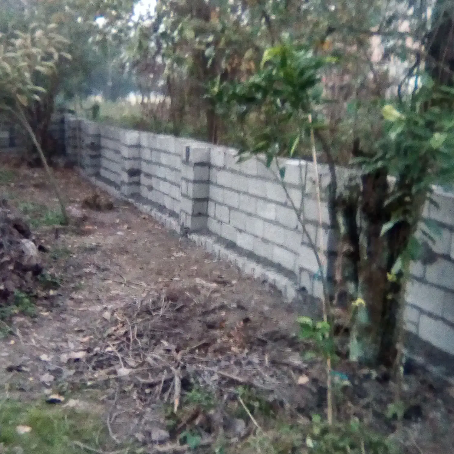 دیوارچینی،سیمانکاری،بنایی،کرسی چینی،کاشیکاری|خدمات پیشه و مهارت|رودسر, |دیوار