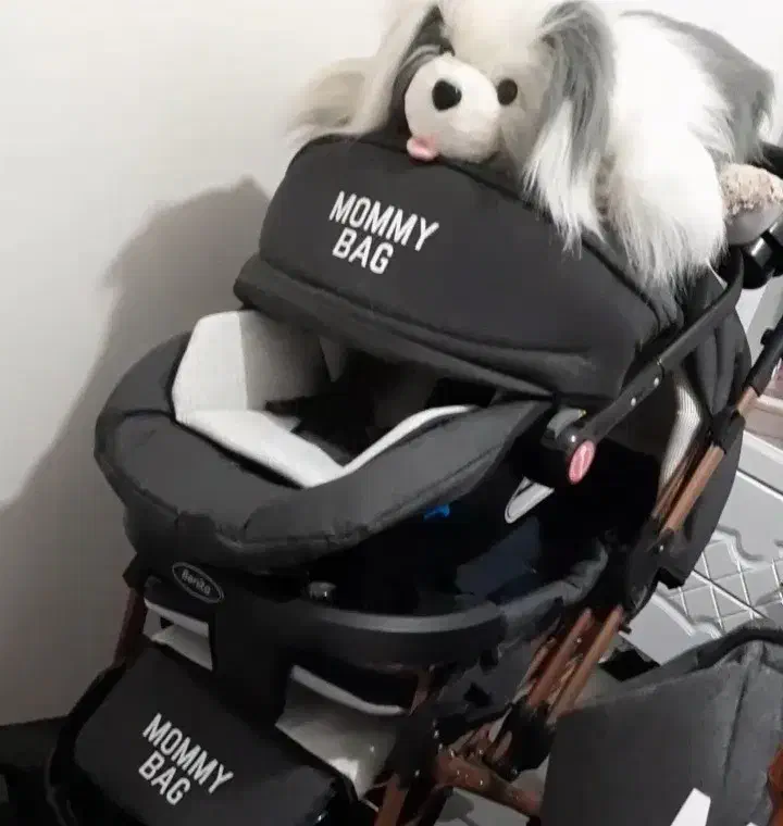 کریر کودک|کالسکه و لوازم جانبی|الوند, |دیوار