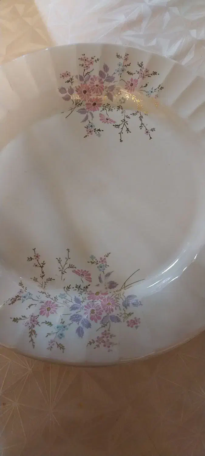 ظرف چینی|ظروف سرو و پذیرایی|شاهینشهر, شهرک گلدیس|دیوار