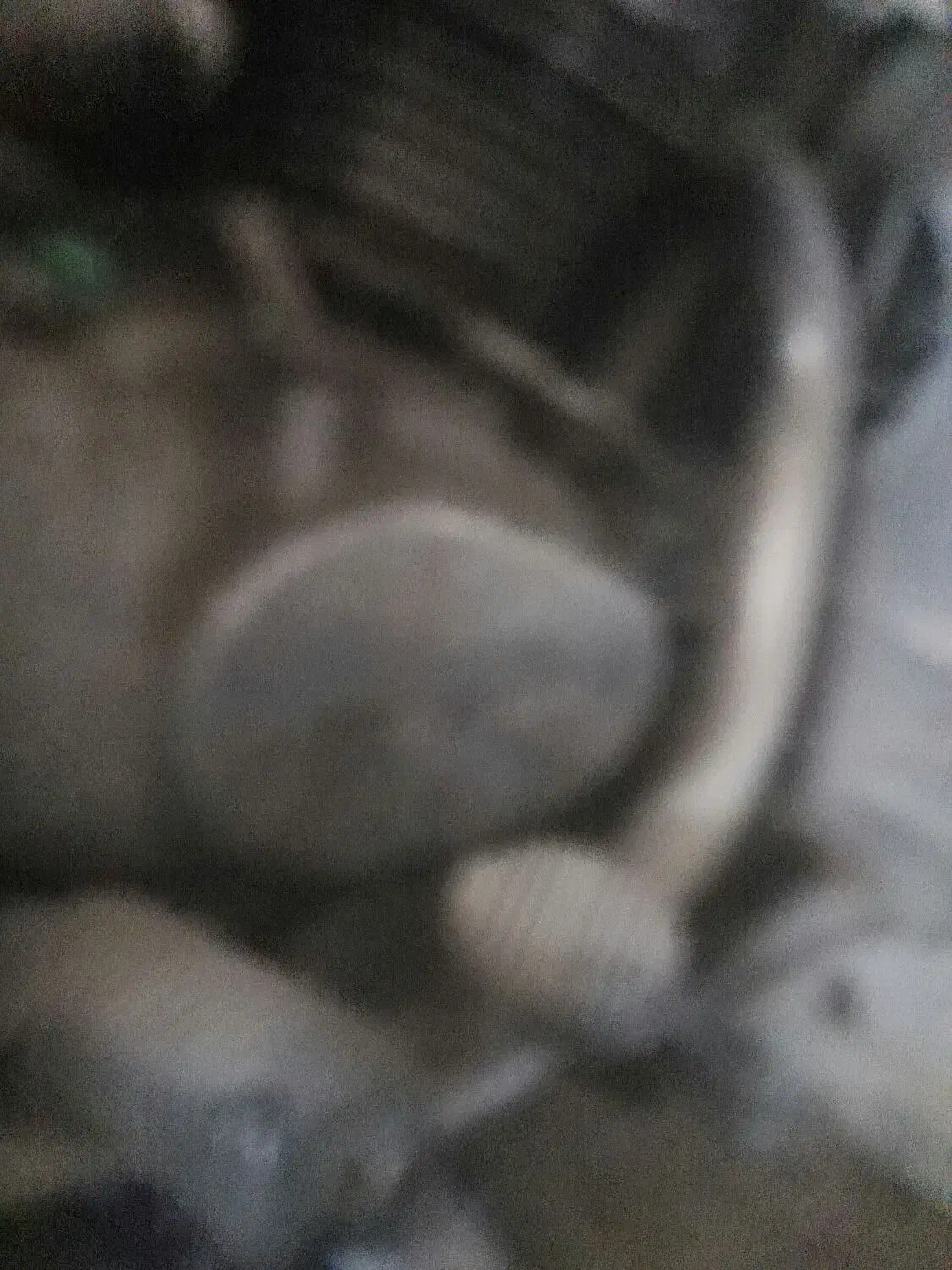 موتور سیکلت|موتورسیکلت|قم, نیروگاه|دیوار