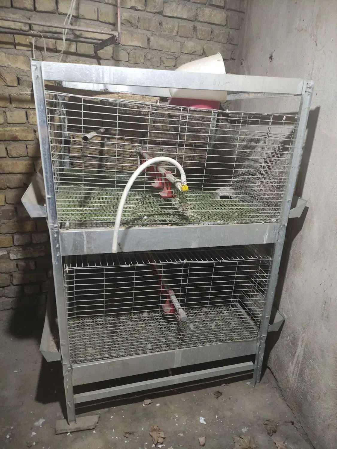 قفس جوجه مرغ و بلدرچین|لوازم جانبی حیوانات|الیگودرز, |دیوار