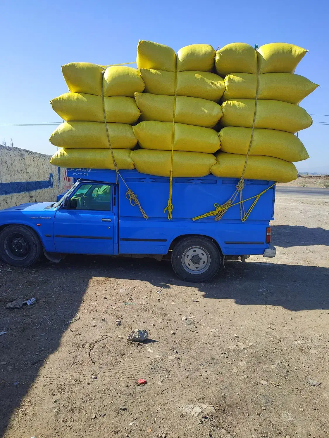 کاه نرم درجه یک معجون زنجان|لوازم جانبی حیوانات|اردبیل, |دیوار